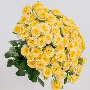 4 Good Yellow