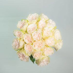 Scentorini